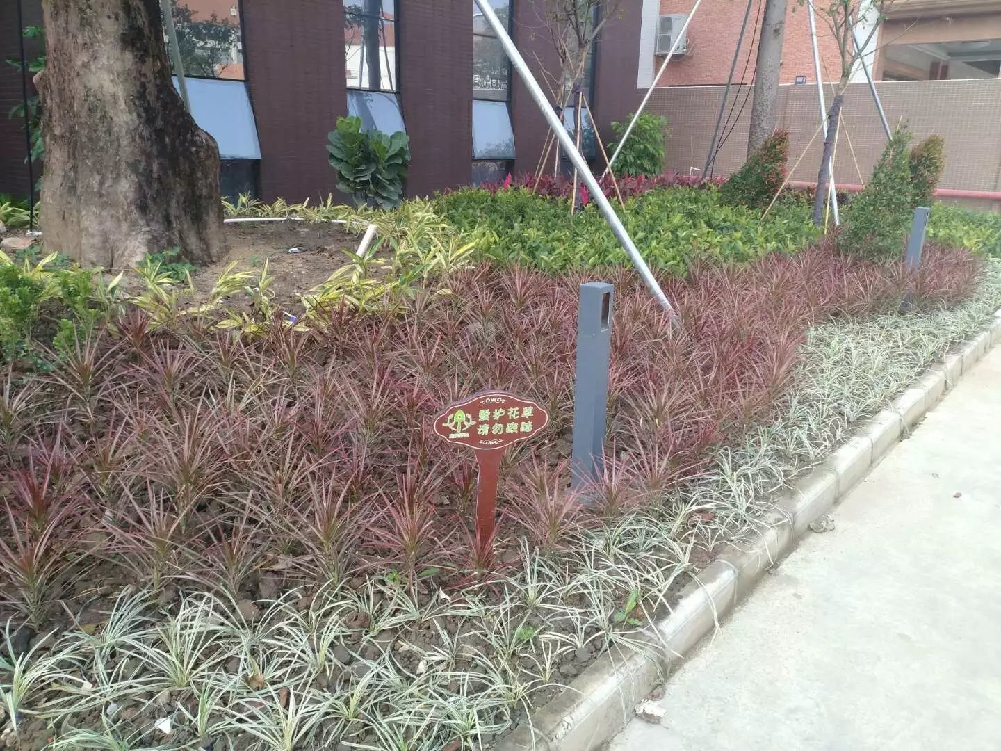 承接園林綠化工程，學校，工廠，別墅，酒店住宅等等